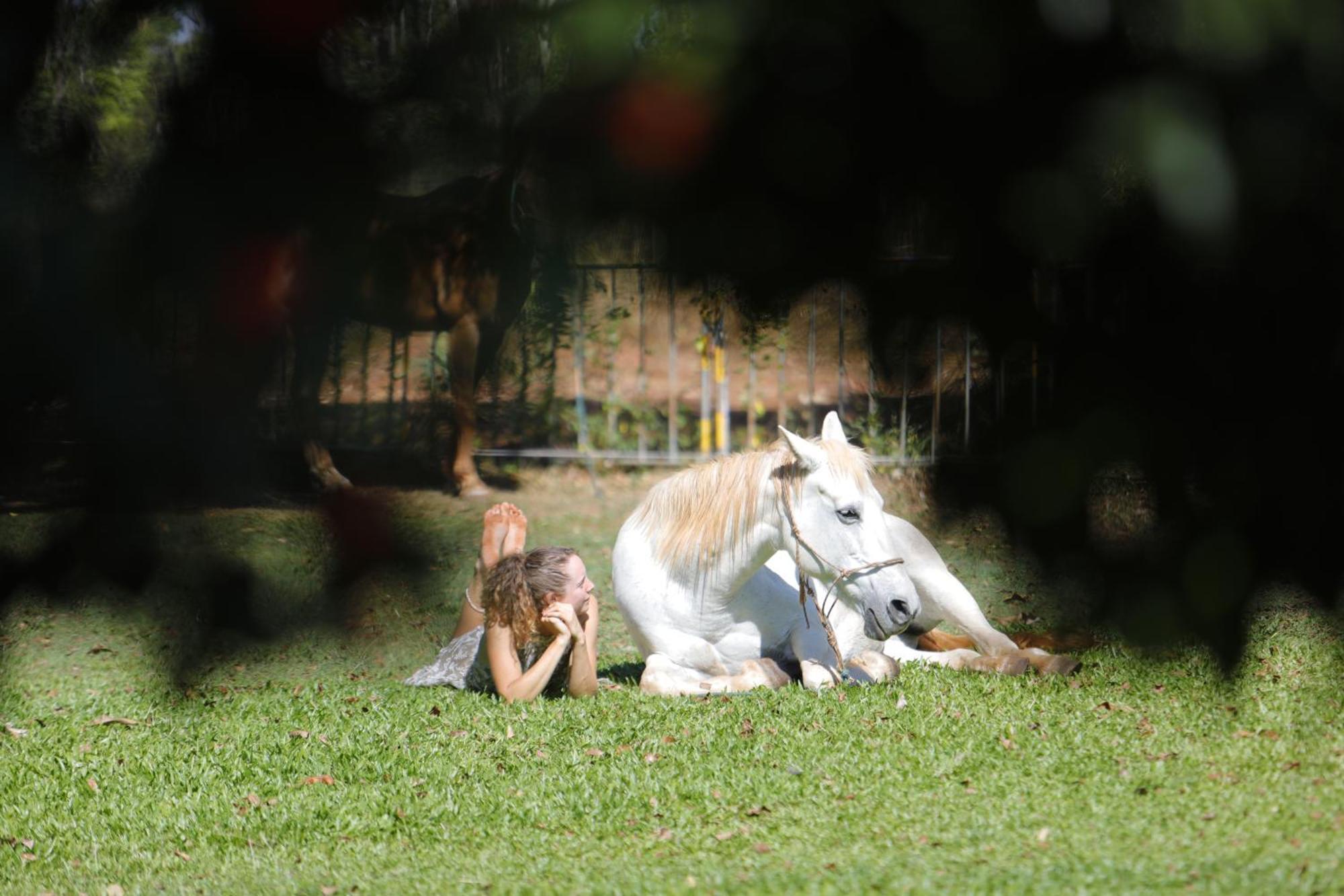 ホテル Banyan Tree Batchelor エクステリア 写真