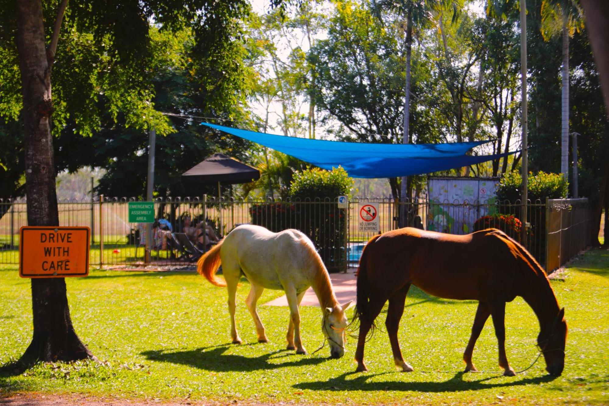 ホテル Banyan Tree Batchelor エクステリア 写真